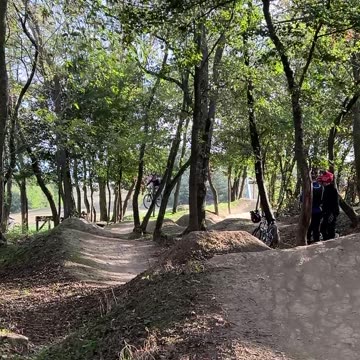 Mountain Biker Jumps in Forest Trail Adventure
