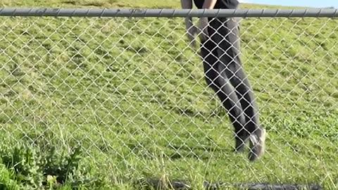 How Animals Get Over The fence (with emojis😂🤣)