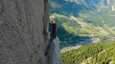 Mountain Goat Cliff Assist