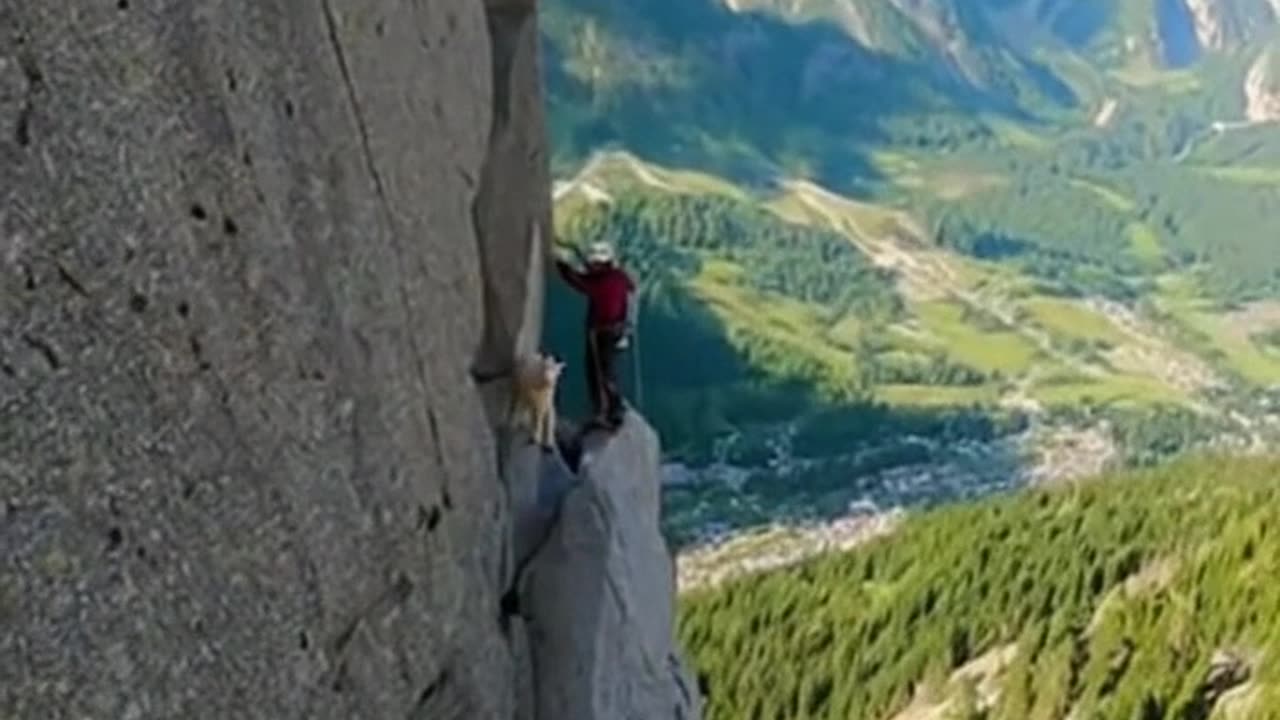 Mountain Goat Cliff Assist