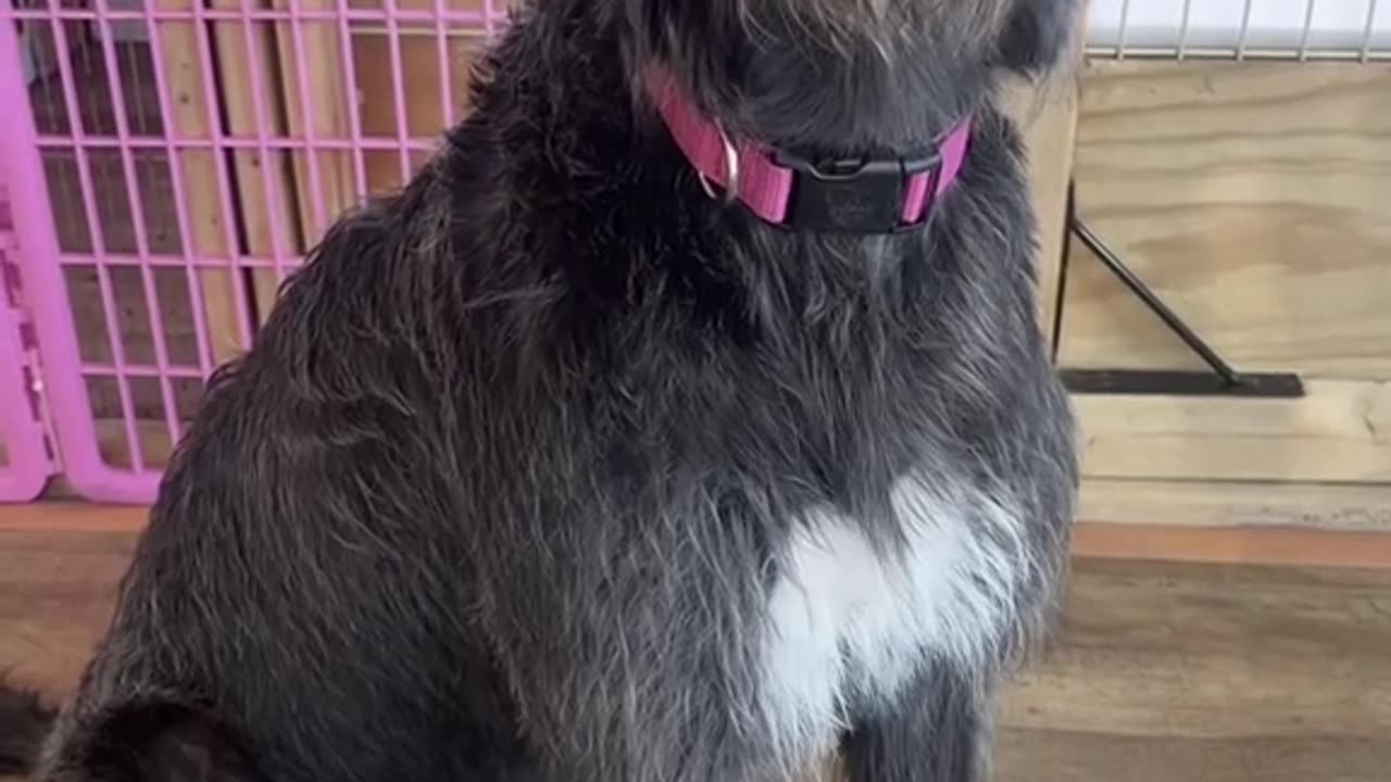 They are still smol ❤️