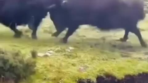 Outclassed