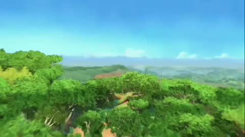 short Movie of the animals