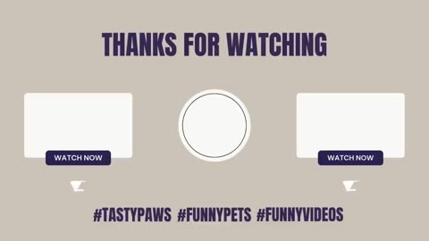 Funny cat video