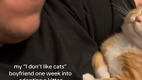 😻