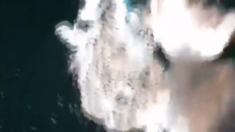 WW2 Air Combat Footage Air to Air Dogfights