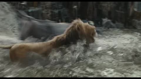 Giant Flood Scene | Mufasa: The Lion King | 2024