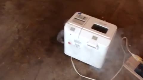 Bread machine over volted