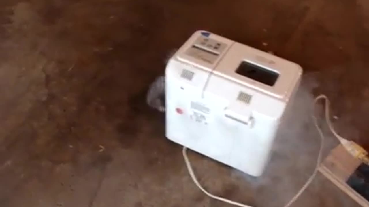 Bread machine over volted