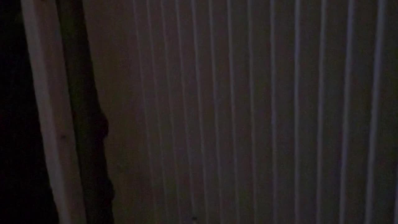 Strange noises from locked laundry hut at night looking for logical explanations