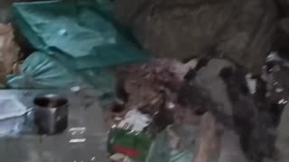 The Disgusting Inside of a Russian Dugout