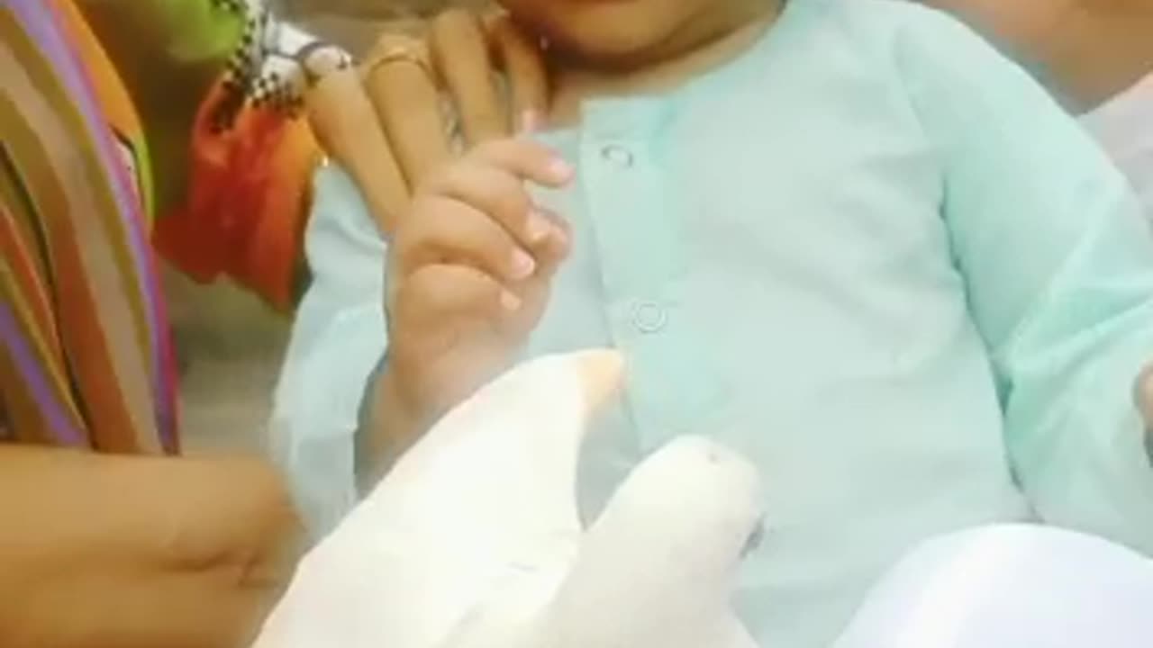 #baby trying to eat pigeon