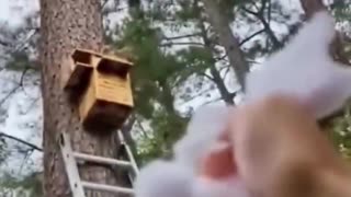 They built a new home for the cute little squirrel that lost its nest during tree cutting.