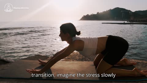Breathe, Stretch, Connect: 5 Minutes of Yoga for World Yoga Day