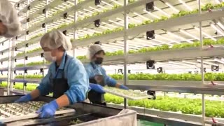 A collection of videos of all the processes in the world that astonish people all over the world.