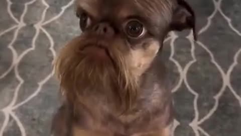 🤔😂 Why Does He Look Like Peter Dinklage? | FunFM