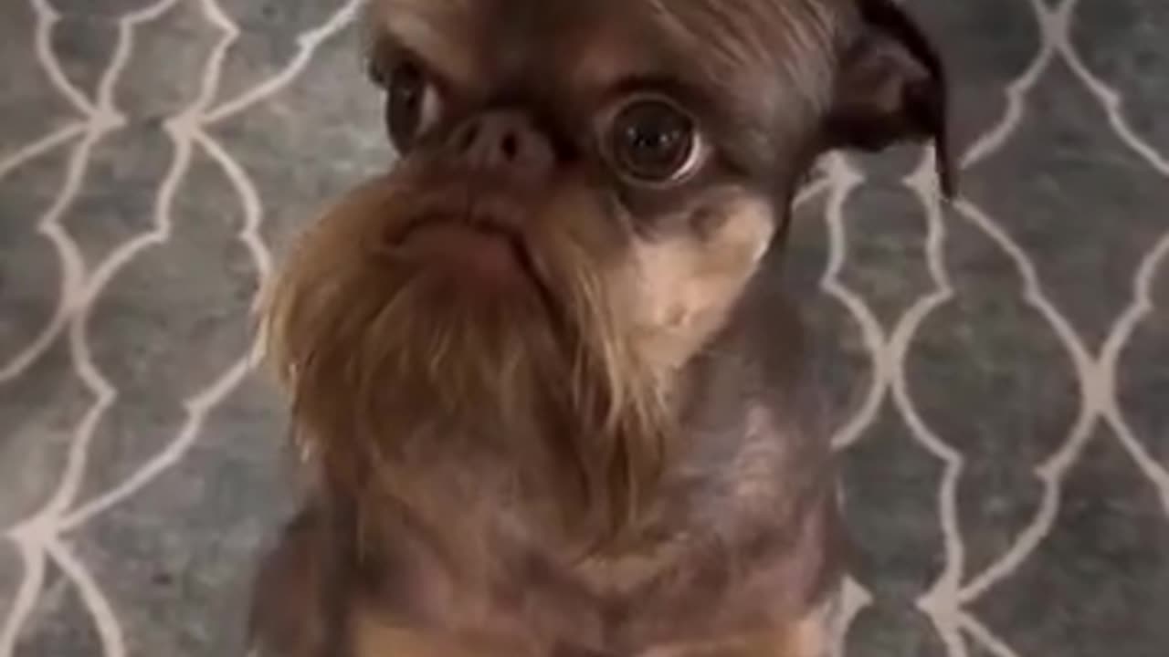 🤔😂 Why Does He Look Like Peter Dinklage? | FunFM