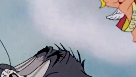 Tom & Jerry 😺🐭| Just Cat & Mouse Things | #tomandjerry | Funny Cartoon