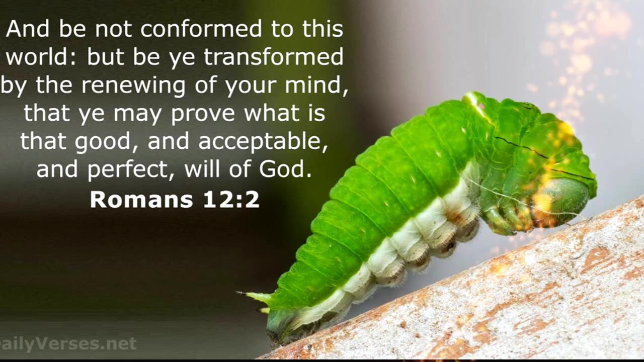 WHY WE HESITATE - DAILY DEVOTIONAL