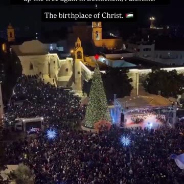 🌲 Palestinian Christians light up the tree again in Bethlehem, Palestine