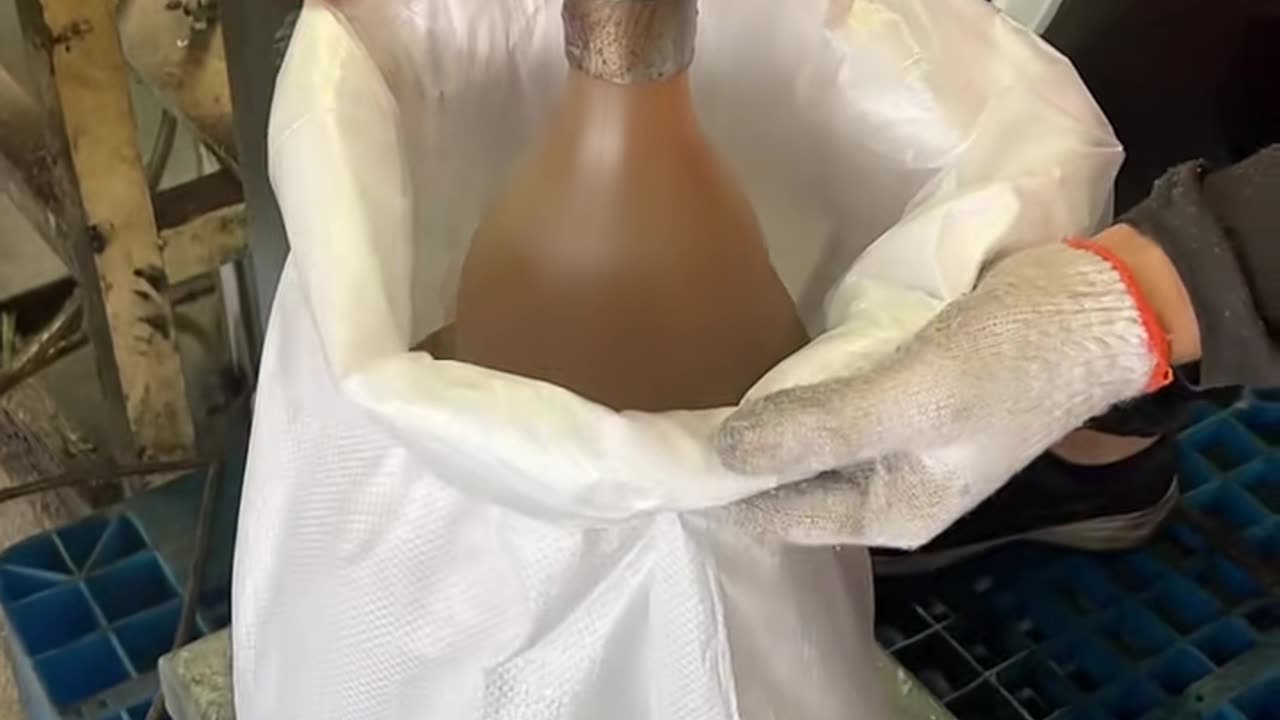 😮🔧 This Machine In Action Is Pure Genius! | FeedMyCuriosity