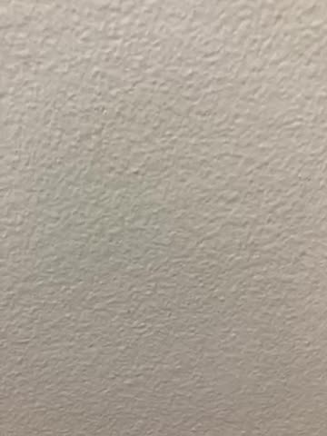 Seitan (fake meat from tofu)