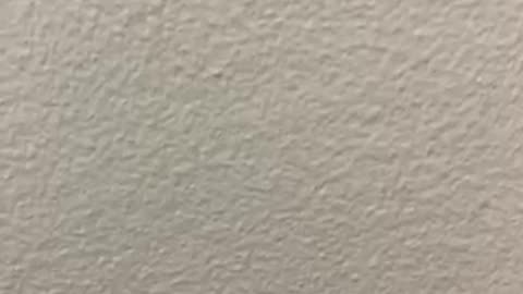 Seitan (fake meat from tofu)