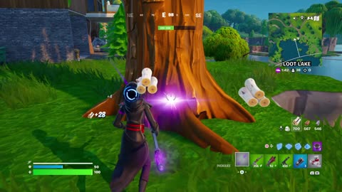 Fortnite 20250521193412689058947489 OHIO OHIO 666