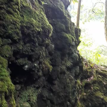 Life Beneath the Waves