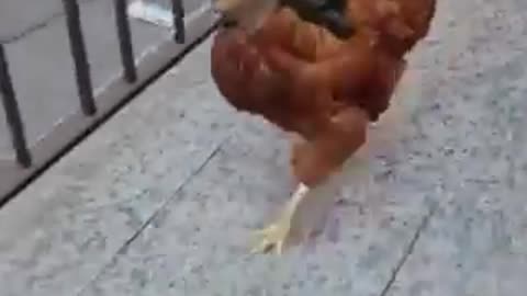 🤣🤣🤣