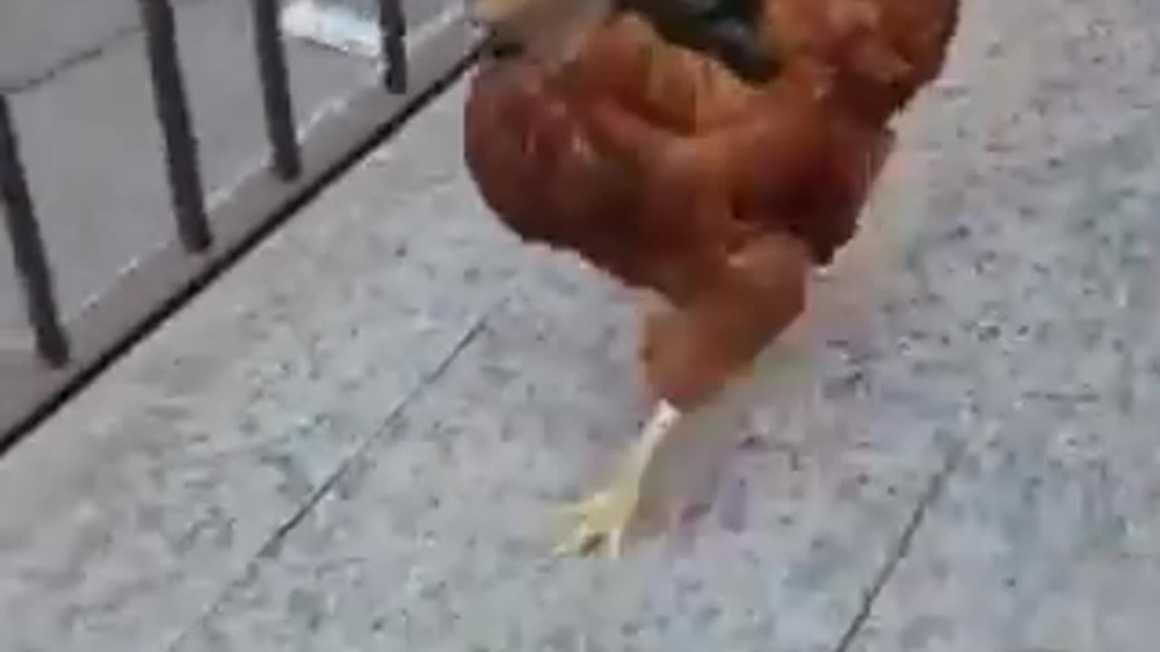 🤣🤣🤣