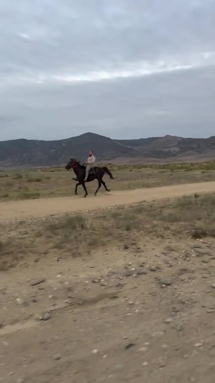 Islam Makhachev Riding a Horse