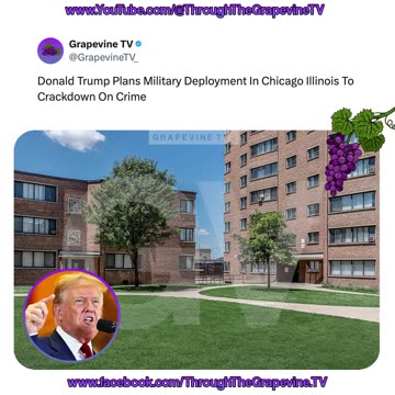 Donald Trump Plans Military Deployment In Chicago Illinois To Crackdown On Crime
