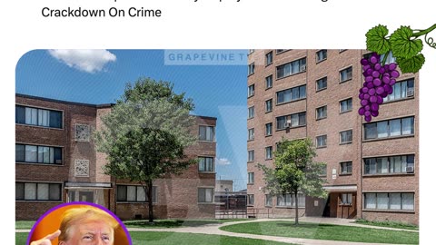 Donald Trump Plans Military Deployment In Chicago Illinois To Crackdown On Crime