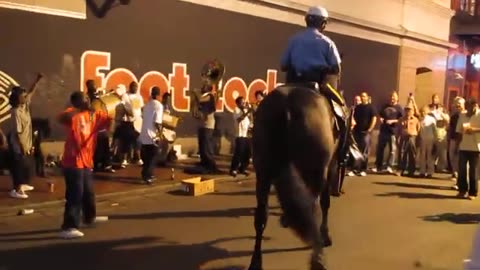 New Orleans - Dancing Horse Toni