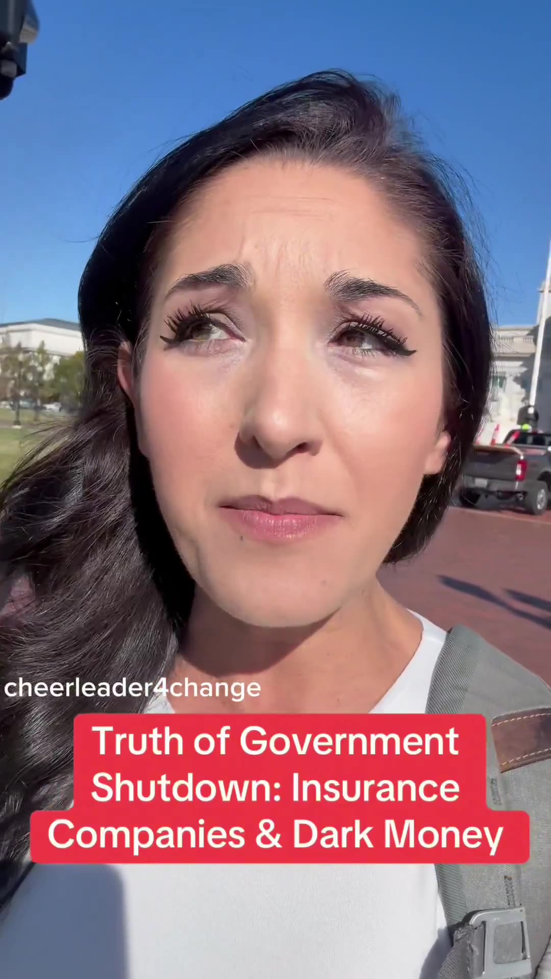 🚨 DC Lobbyist exposes the real reason Democrats are keeping the government shutdown is because they’re being paid off “It has to do with dark money from the billion dollar health insurance companies”