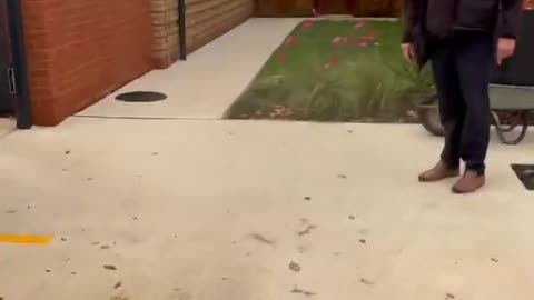 Brand new houses for new arrivals