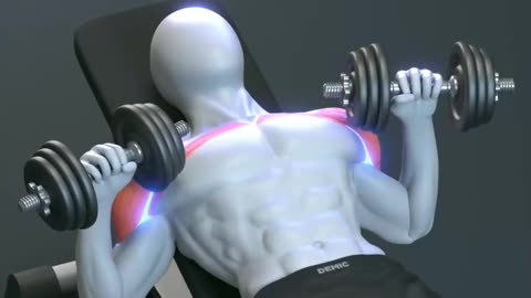 Are you doing bench press Dumbbell right