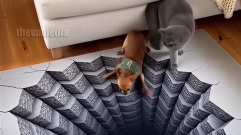 The Most Unbelievable Clip on Rumble RIGHT NOW !