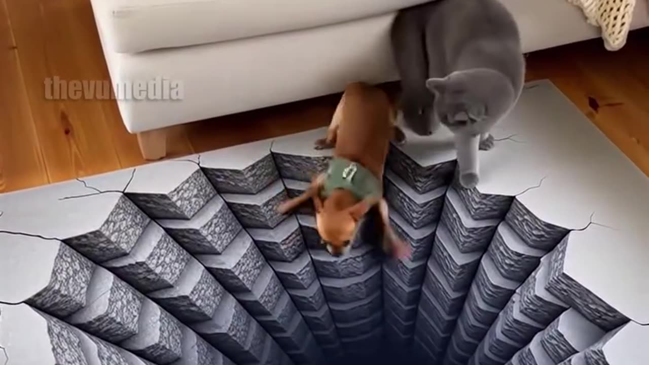 The Most Unbelievable Clip on Rumble RIGHT NOW !