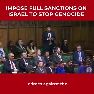 "Double Standards? Why MPs Support Ukraine but Ignore Palestine"
