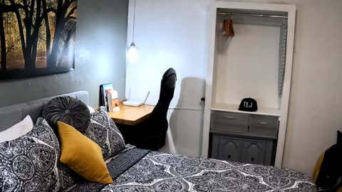 My Airbnb in Juarez Mexico