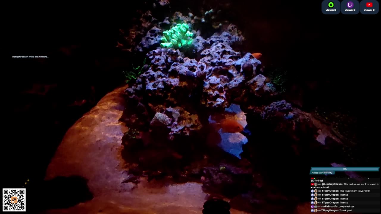 24/7 Real Live Reef Stream