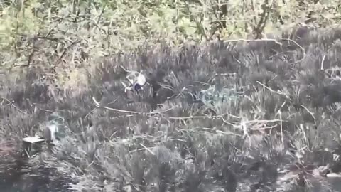 💥🇷🇺 Ukraine Russia War | Russian Assault Mobile Shed Collapses Near Diliivka, Donetsk | RCF