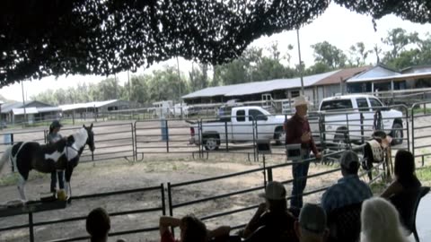 Skipper Calder & Cowboy-up Ministry bring horse training with a message at 11am.