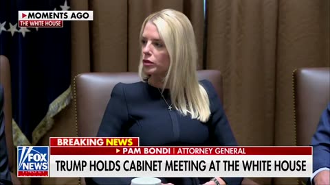 Pam Bondi announces that the DOJ will prosecute any fraud uncovered by DOGE