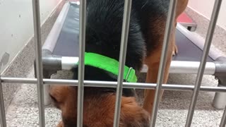 VID_20250917_180850609