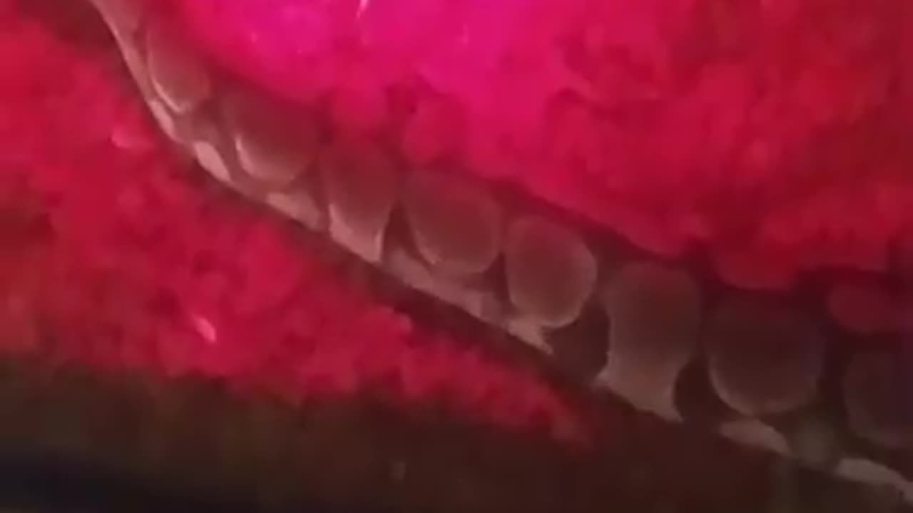 Bigger tank for Crowley