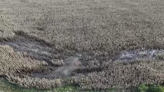 Heavy floods threaten Argentina's crops