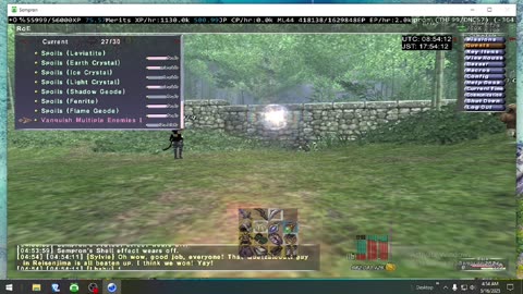 Playing Final Fantasy XI Online